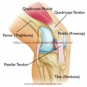 Penyebab Nyeri Lutut Di Usia Muda