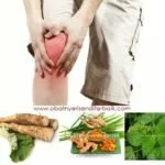 3 Tumbuhan Herbal Yang Baik Untuk Nyeri Lutut