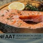 Manfaat Ikan Salmon Untuk Mencegah Osteoporosis